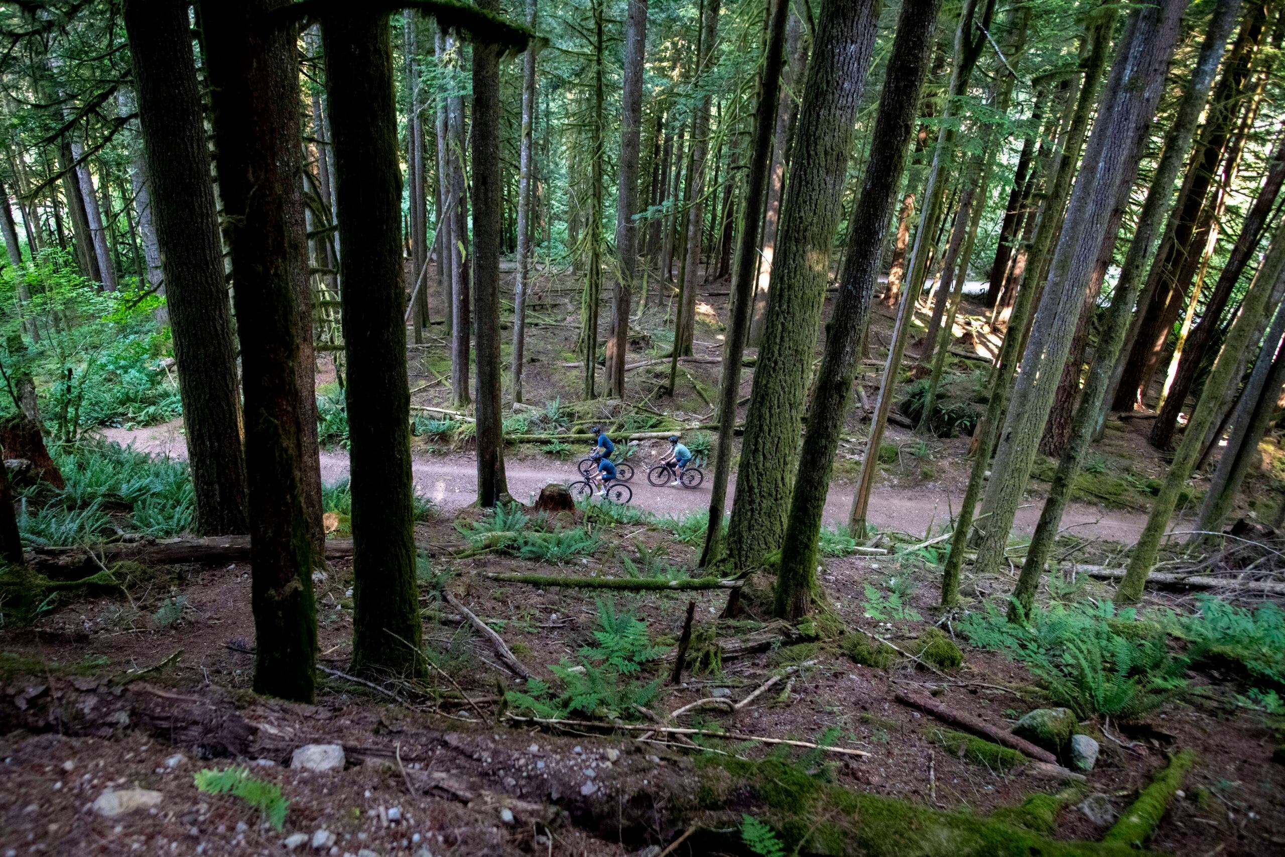 Testing 6 completely different gravel bikes to find the future of gravel 13 Testing 6 completely different gravel bikes to find the future of gravel